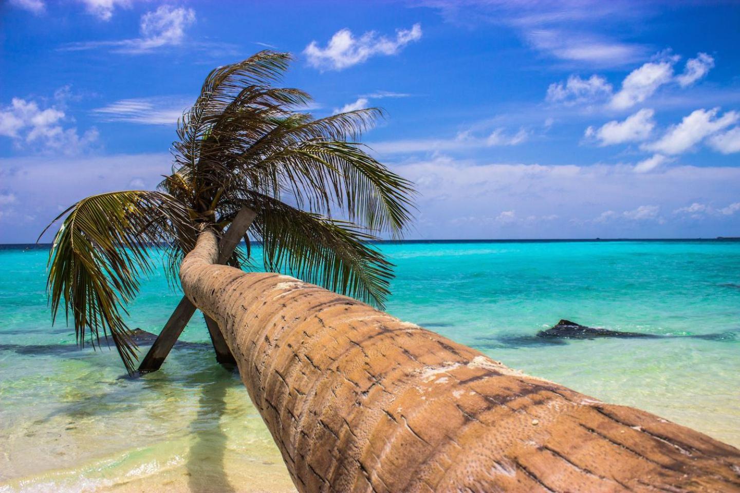 Ci-Ritorno View Hotell Maafushi Eksteriør bilde